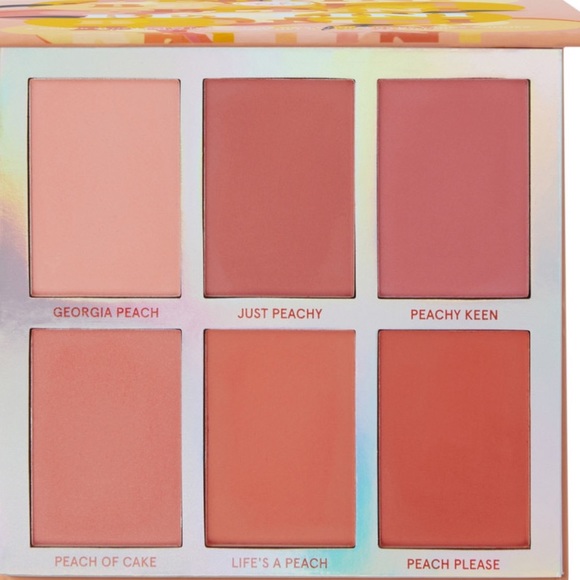 BH Cosmetics Other - BH Cosmetics Weekend Vibes Peach Bellini Palette